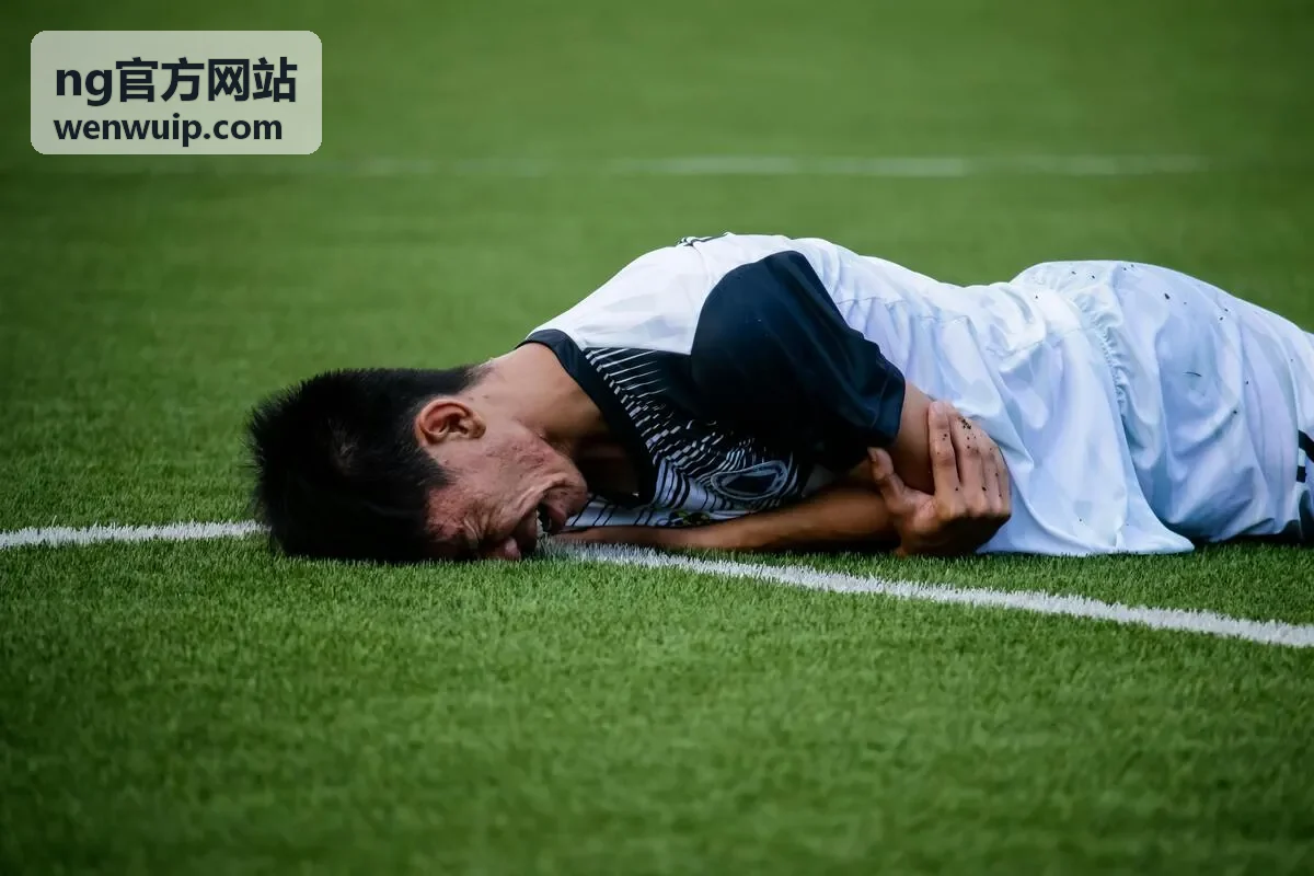 ng官方网站文化IP授权合作中的器物造型三维数据授权素材