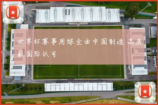 世界杯赛事用球全由中国制造 品质获国际认可