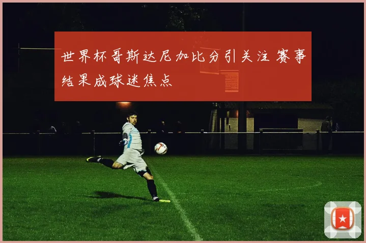 世界杯哥斯达尼加比分引关注 赛事结果成球迷焦点