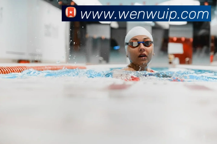 世界杯网上购票平台平台生态图